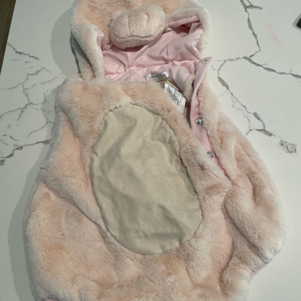 Pottery Barn Kids Halloween costume-pig